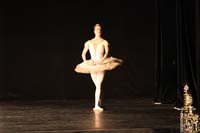 IMG_3533