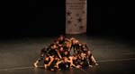 Luv2Dance2009_0364